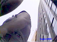 You will remind this upskirt thong close up for a long time!